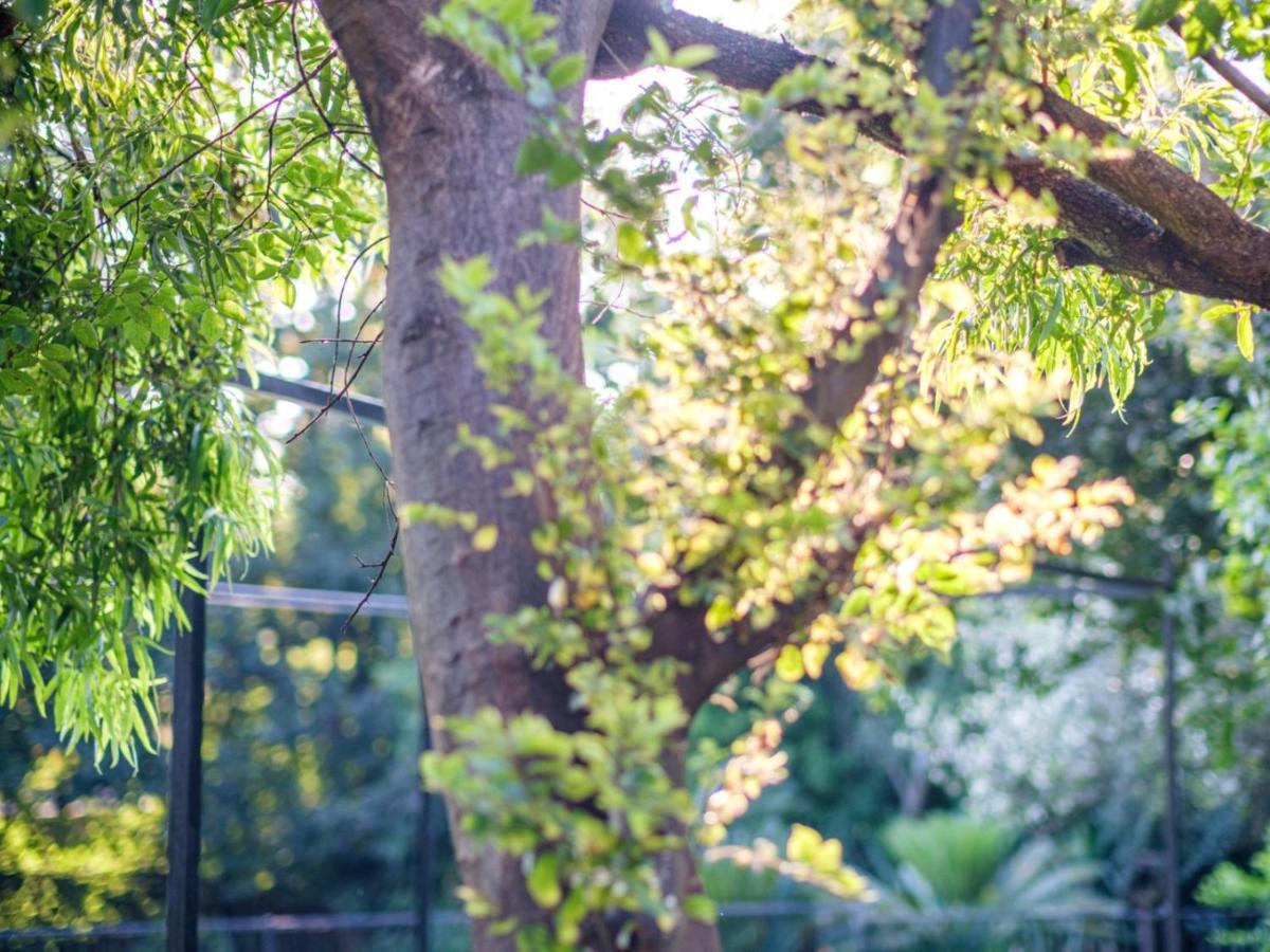 Hurlingham House Guest House Johannesburg Luaran gambar